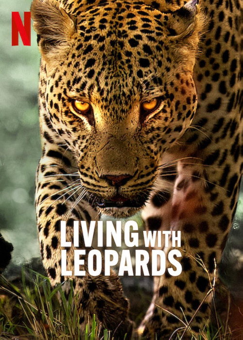 Living with Leopards poster